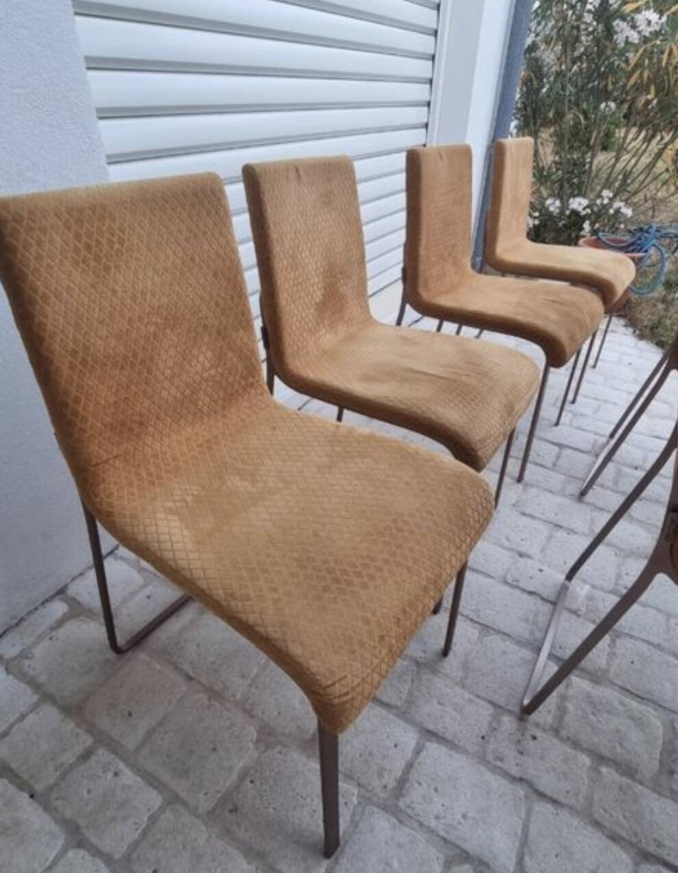 Set of 6 velvet chairs and armchairs