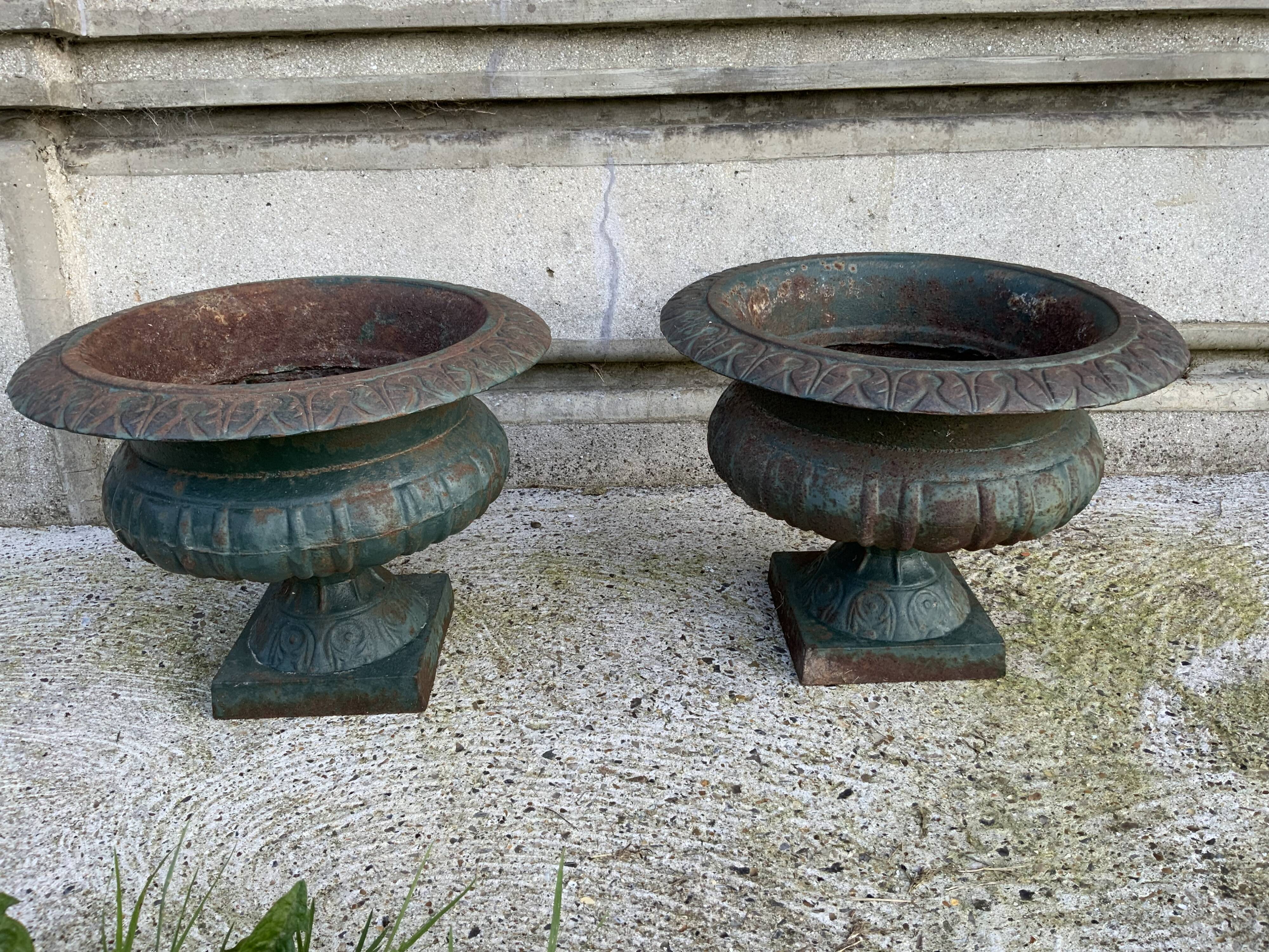 Paire de vasques Médicis