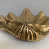 Empty clam pocket