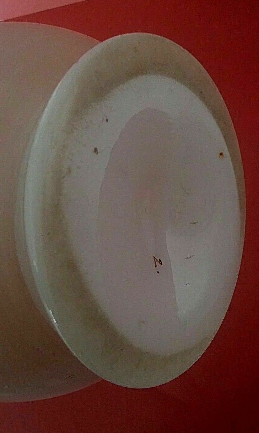 Opaline vase floral decoration pink background 1900