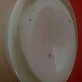 Opaline vase floral decoration pink background 1900