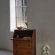 Desk / Chest of drawers in modern Danish oak from the early 20th century with shell handles.