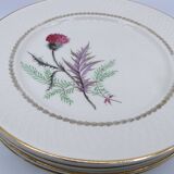 Plates Moulin des Loups Imperia plates