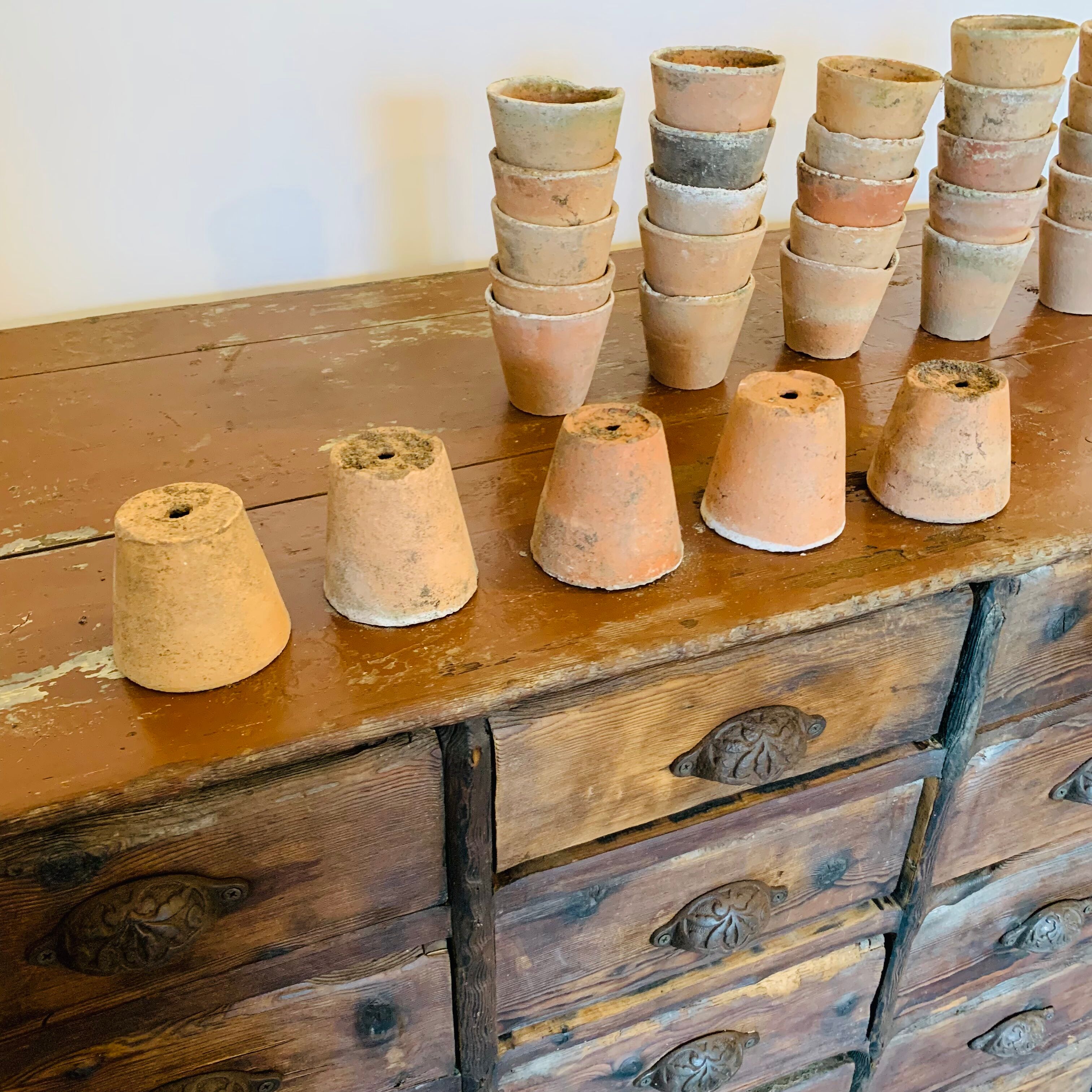Lot of 30 terracotta pots circa 1930 graineterie