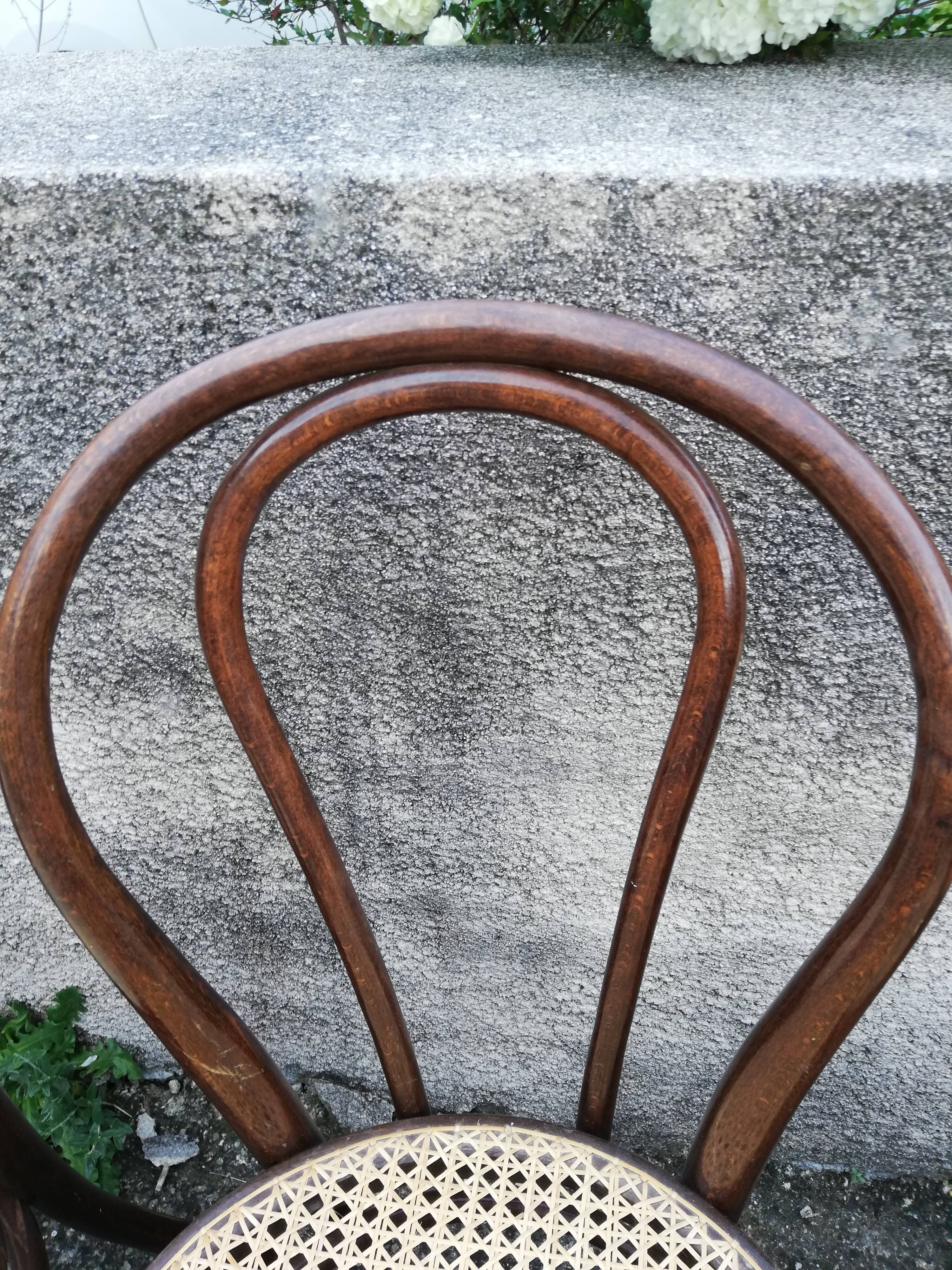 6 Thonet bistro chairs