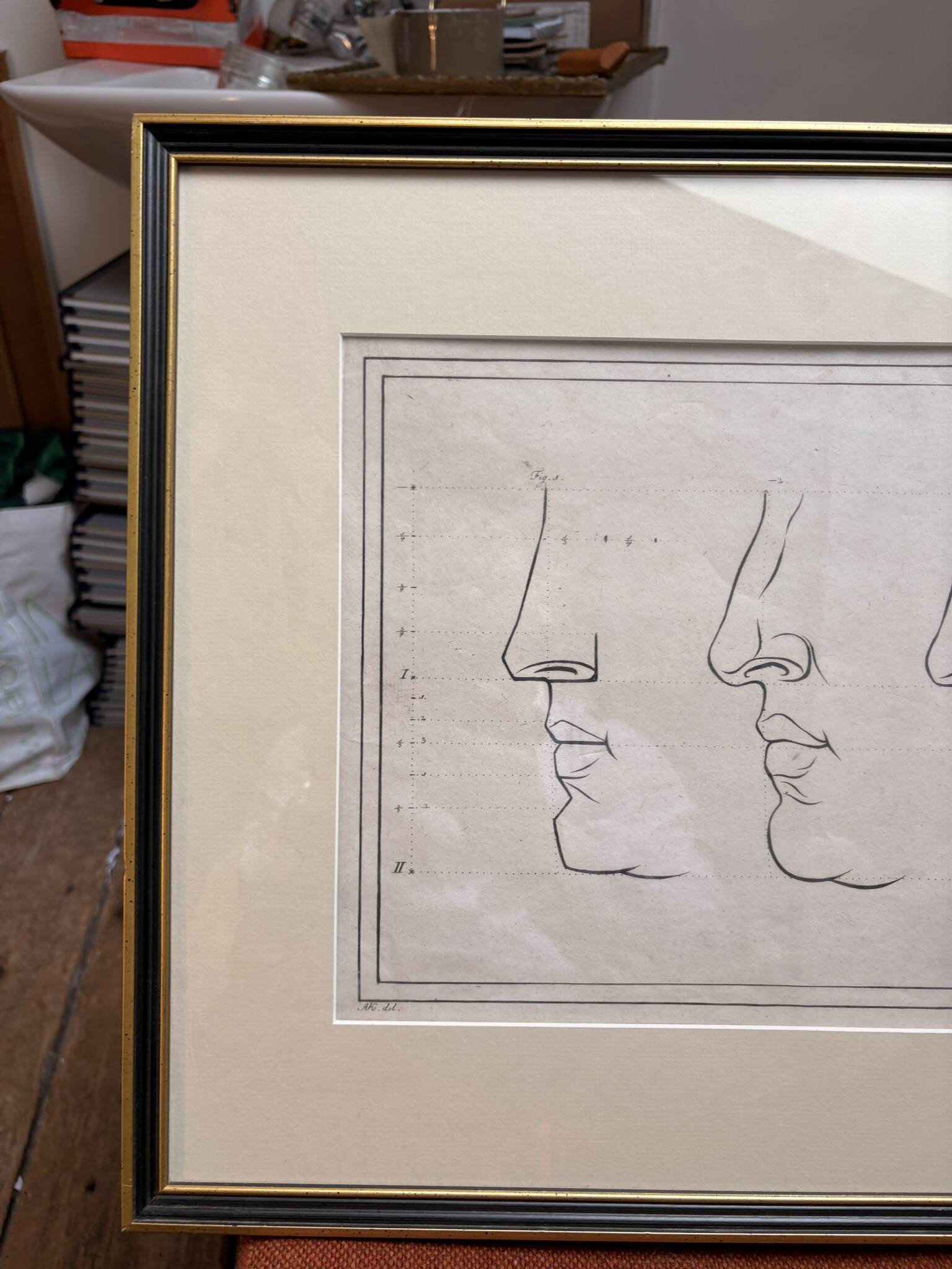 Old Print Engraving 19th Century Anatomy Nose Mouth Plate Head Morphology