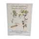 Botanical plank