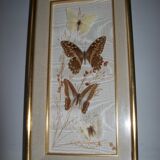 Butterfly stuffed under frame