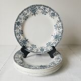 Plate