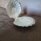 Beurrier coquillages