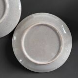 Pair of plates with rooster decor
