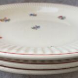 Varene brothers floral decoration plates