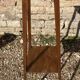 Oak harness