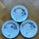 Deep plates Sarreguemines with carnation bouquets