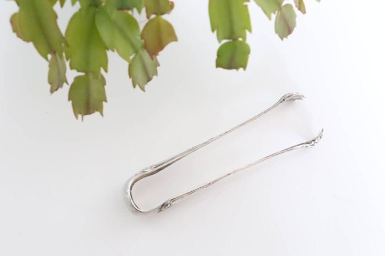 Pince à sucre pattes de lion, 19ème, en argent massif