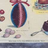 Deyrolle le cacao poster