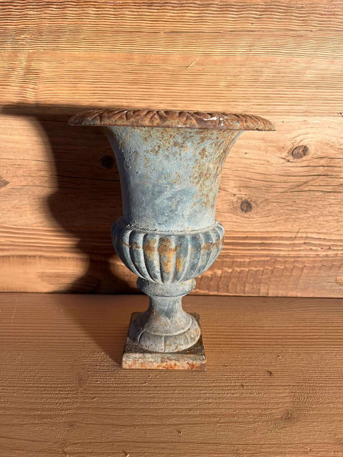 Old Medici vase in cast iron nineteenth century
