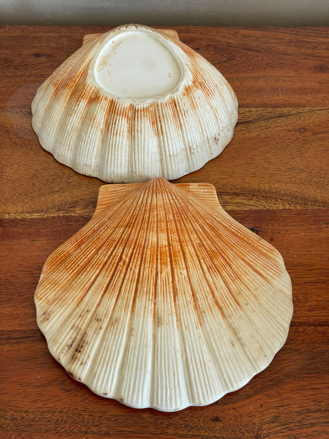 Ceramic scallop shell