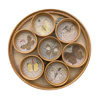 Rattan top and glass inlaid butterflies with its coasters