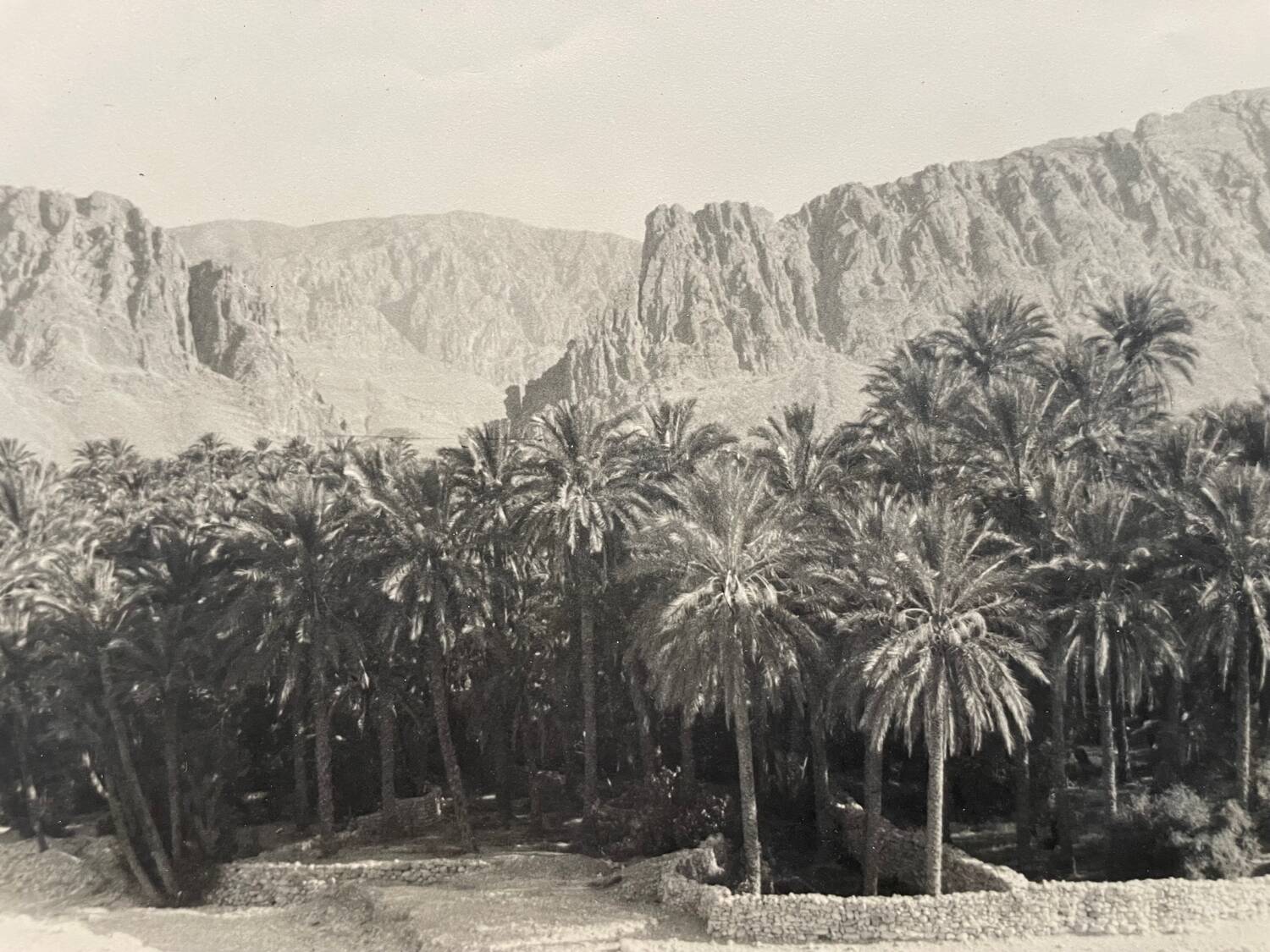 Old photograph collection Algeria Oasis El Kantara Circa 1950