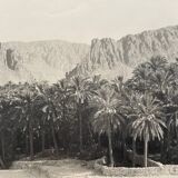 Old photograph collection Algeria Oasis El Kantara Circa 1950