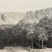 Photographie ancienne collection Algérie Oasis El Kantara Circa 1950
