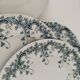6 Saint-Amand Hamage ironstone plates – Byzantine decor