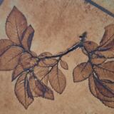 Table basse maison valauris herbier raymonde leduc