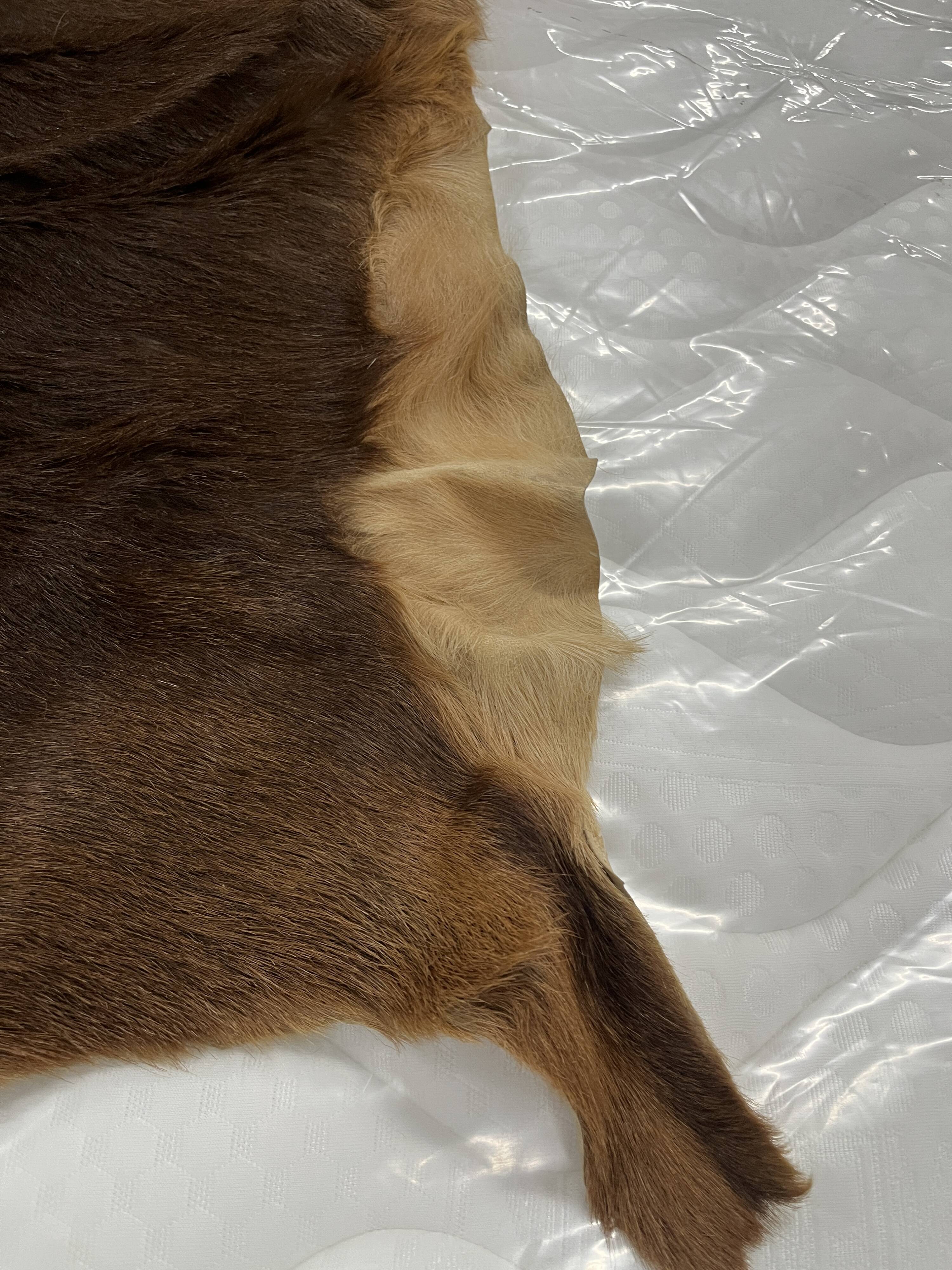 Goat skin rug, 20th century.