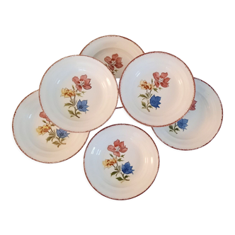 Hollow earthenware plates from Saint Amand Ceranord Vintage Maïté Model