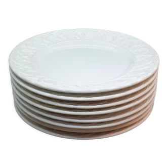 8 white ceramic plates