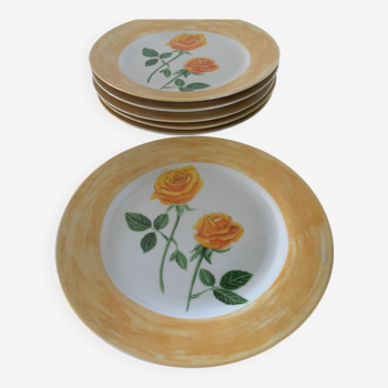 Vintage porcelain plates