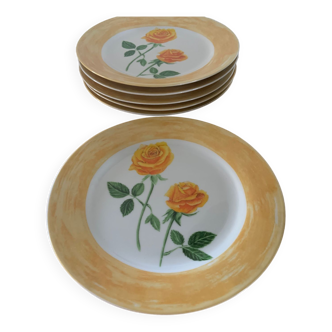 Assiettes en porcelaine vintage