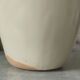 Zoomorphic pitcher Dolphin