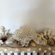 Marine composition