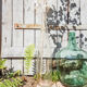 Vintage demijohn