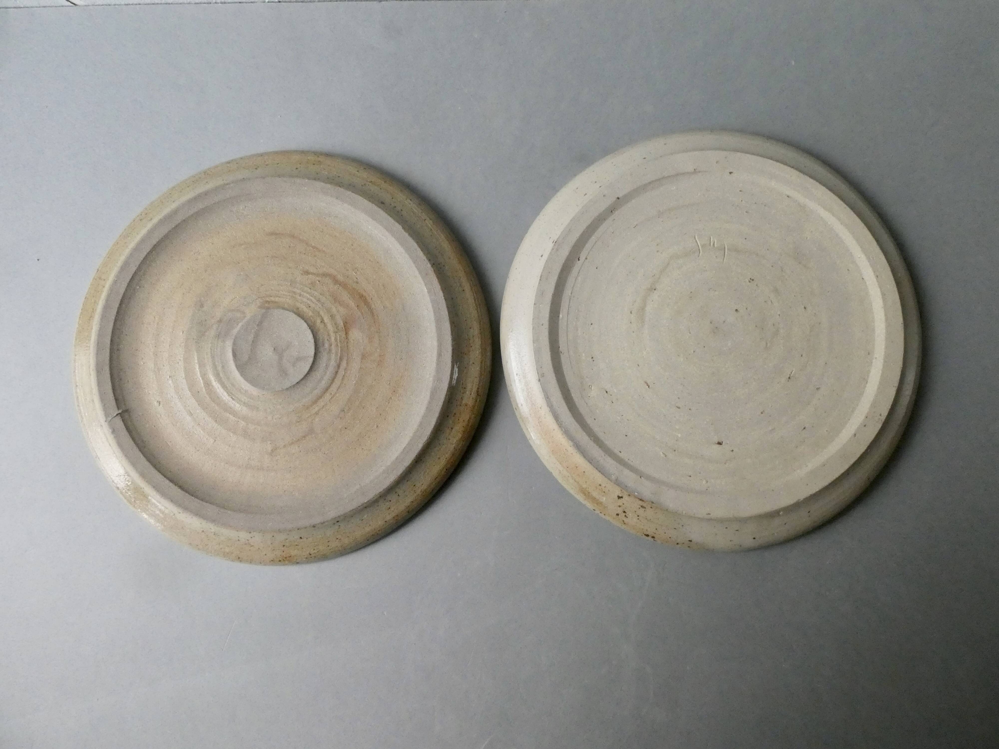 2 stoneware plates or small dishes