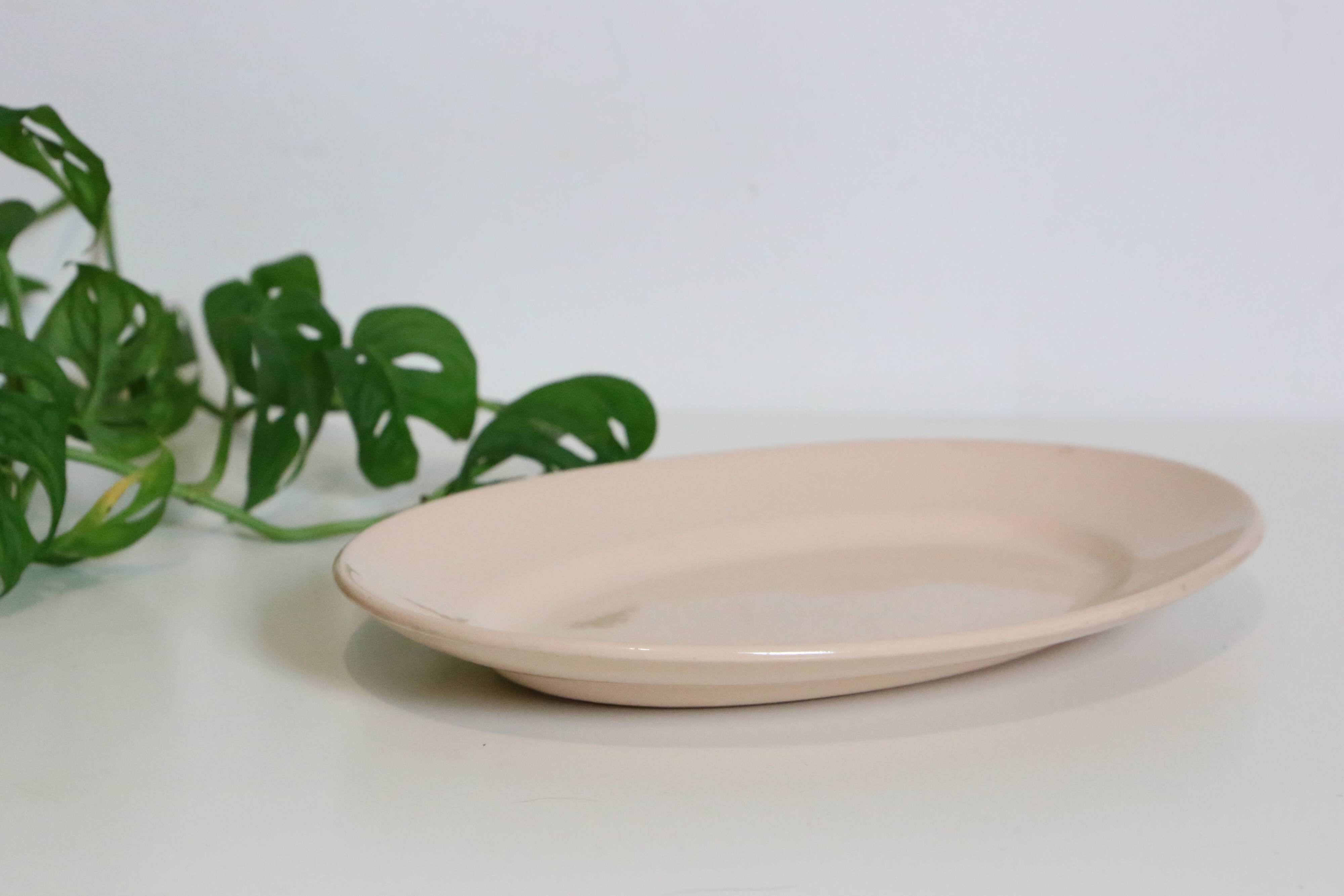 Oval dish in pink ceramic, art deco, 1930, digoin, french manufacture