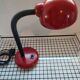 Vintage desk lamp