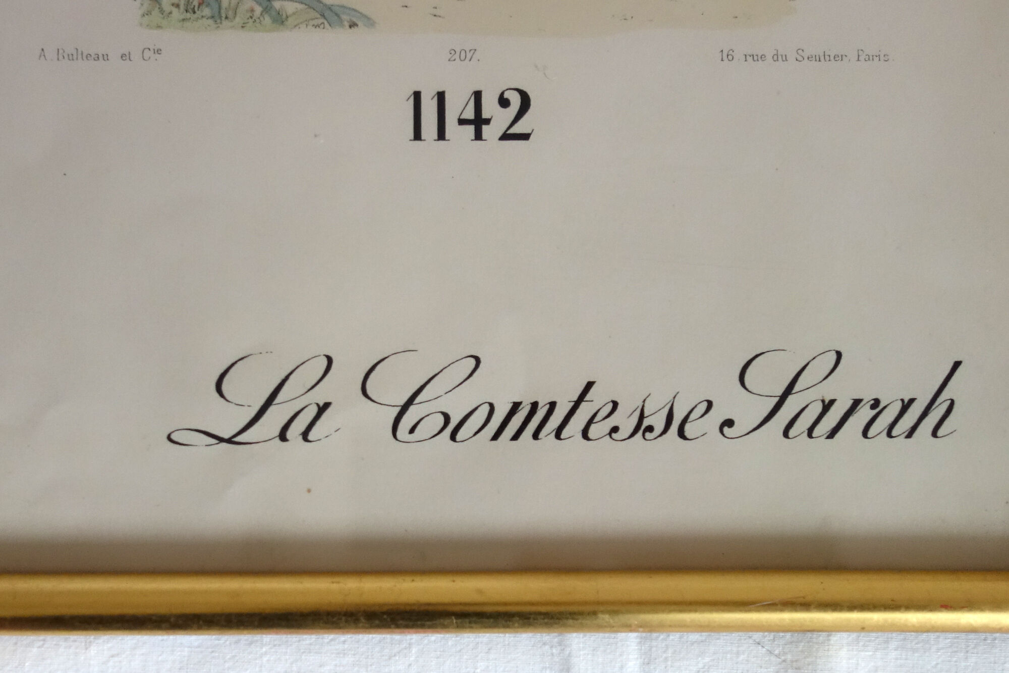 Gravure de mode "La comtesse Sarah" vers 1890