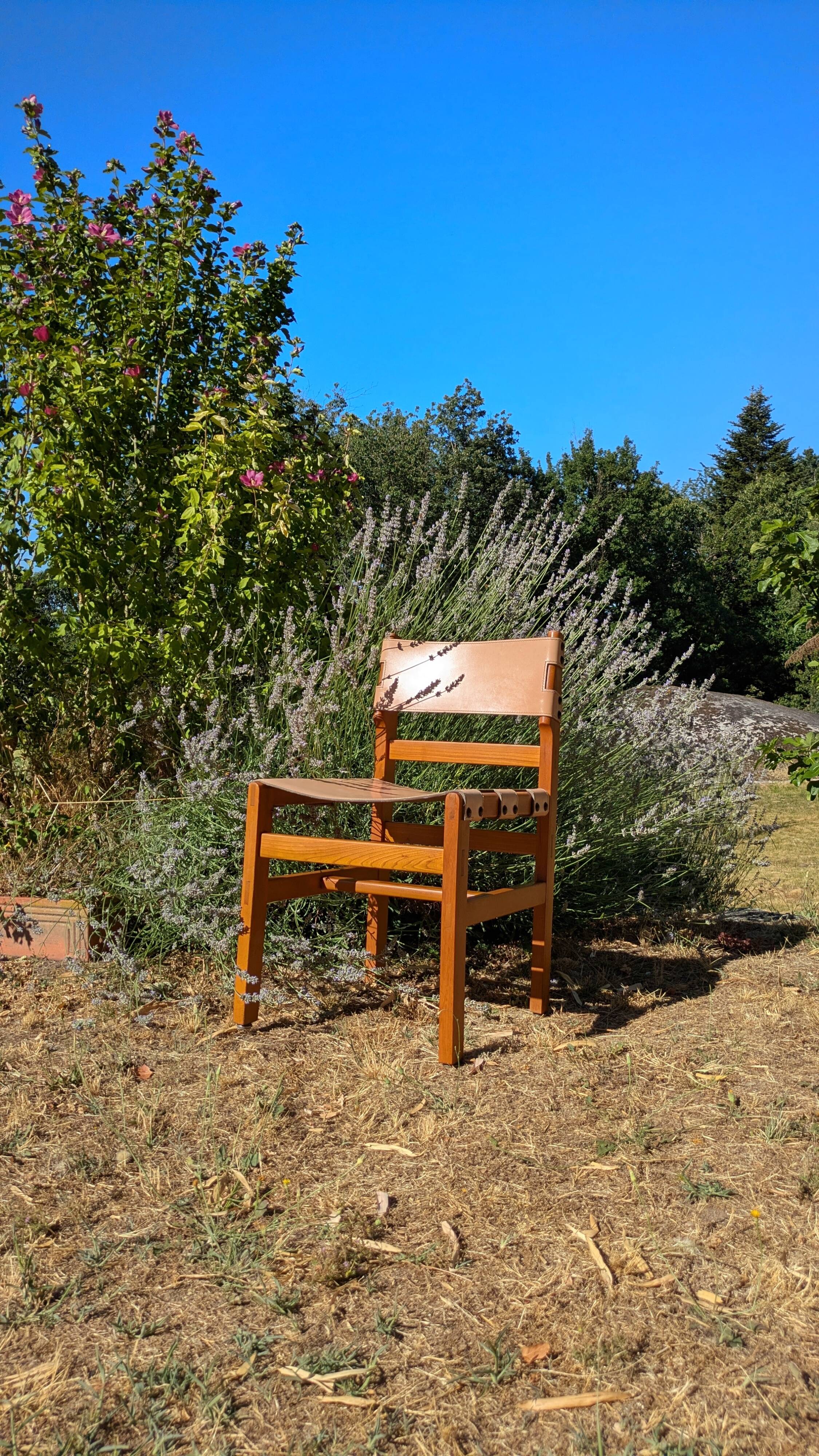 4 solid elm chairs Maison Regain, France 1970s