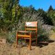 4 solid elm chairs Maison Regain, France 1970s