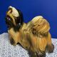 Italian Majolica Shitzu Dog Sculpture by Bravo Italy 1970