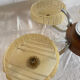 Art deco chandelier 5 branches circa 1940