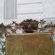 Vintage old bronze mirror