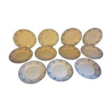 Suite of 11 flat plates iron earth