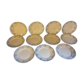 Suite of 11 flat plates iron earth