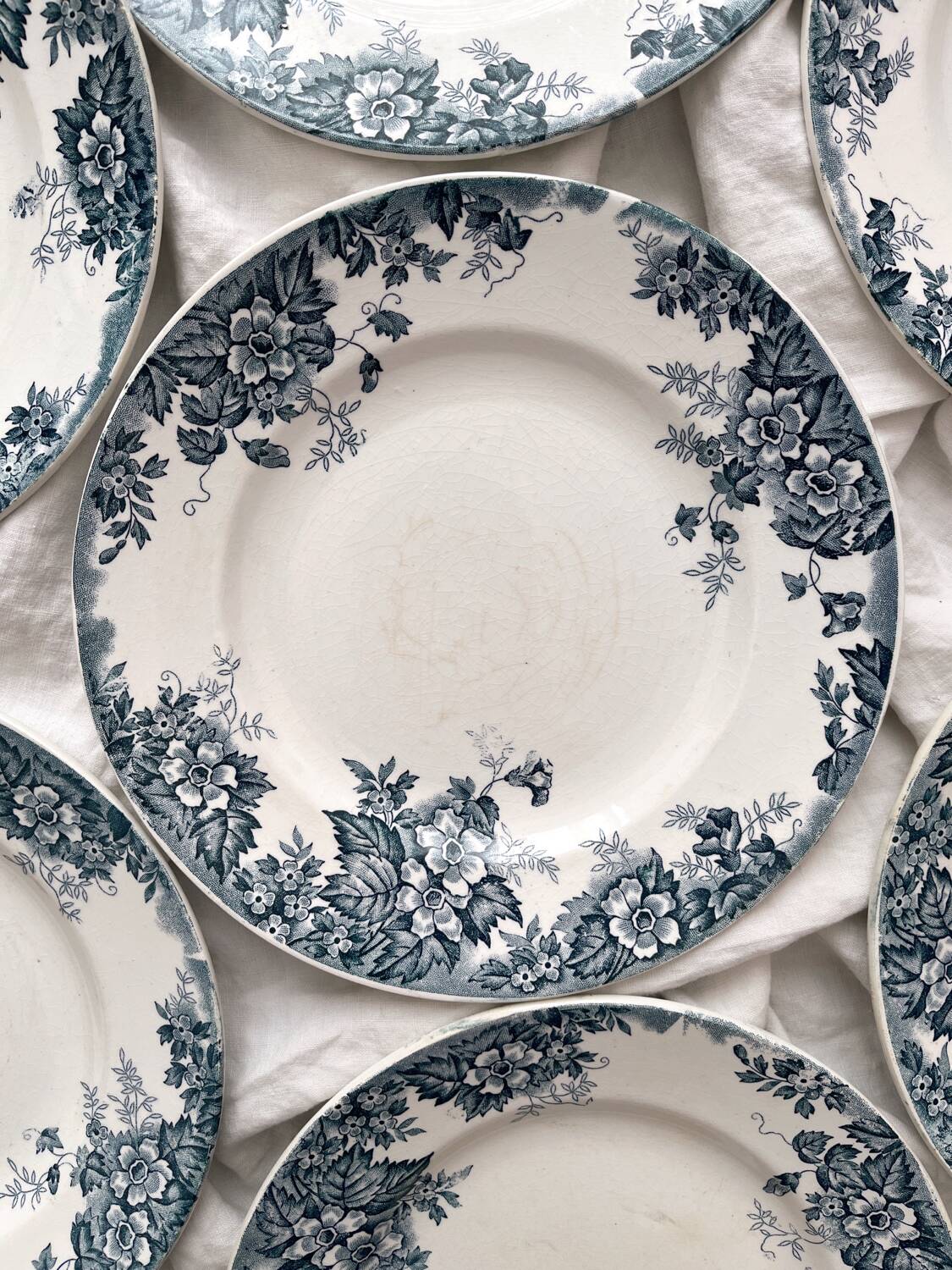 8 flat ironstone plates “Marie Louise” Saint Amand and Hamage