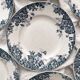 8 flat ironstone plates “Marie Louise” Saint Amand and Hamage