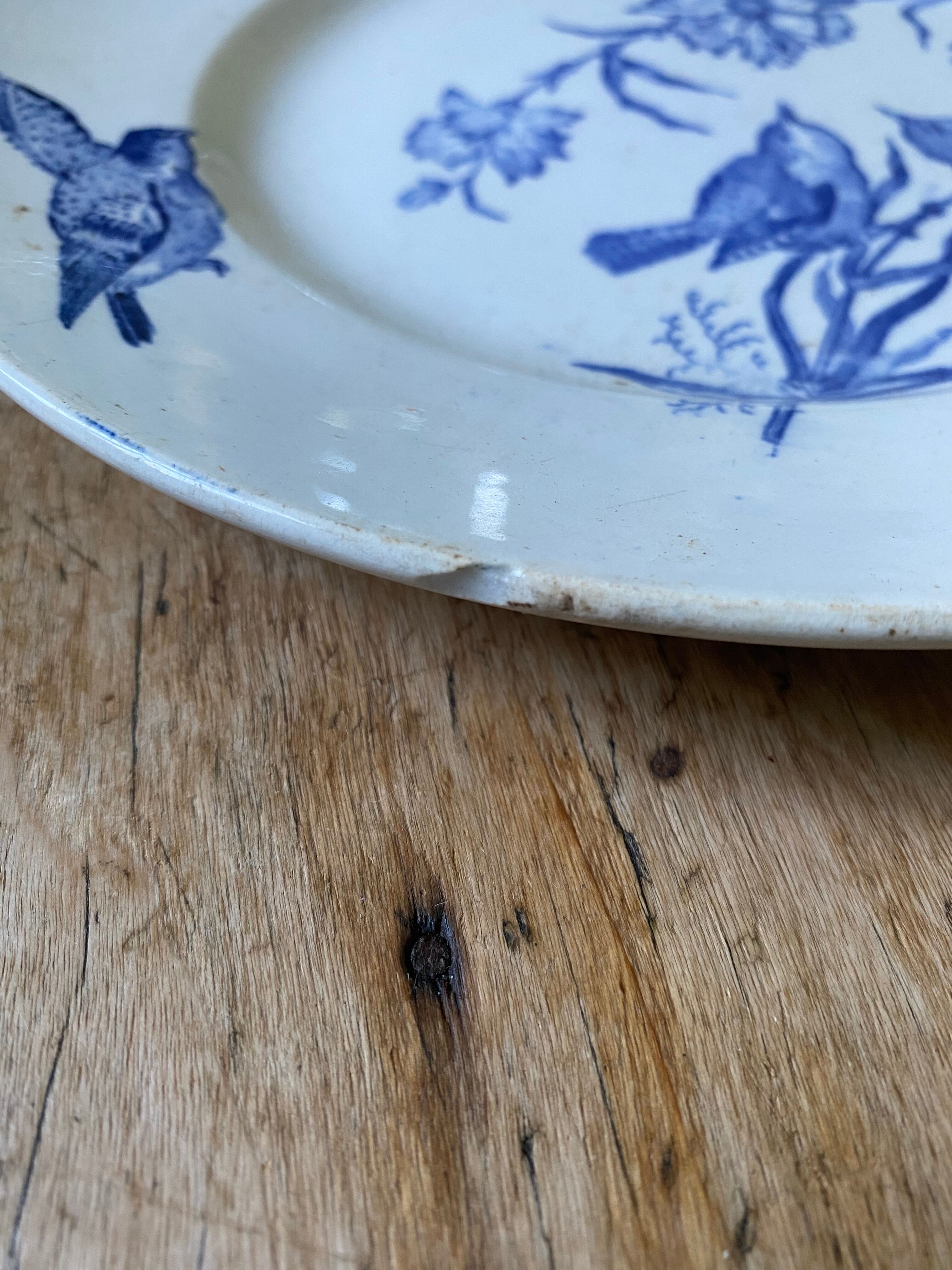 Plate decorated with blue birds and butterflies